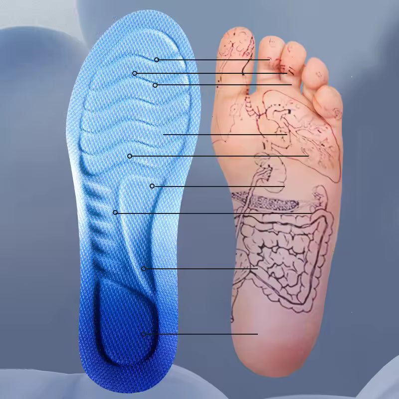 NordicBrace™ - 4d Prosulor